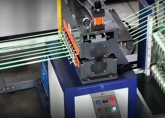 エネルギー効率の高い持続可能なペットストラップ生産ライン - 高度