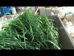 単軸の柔らかい材料の粉砕機